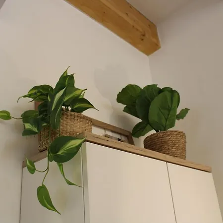 Pensjonat Maison Chene Petit
